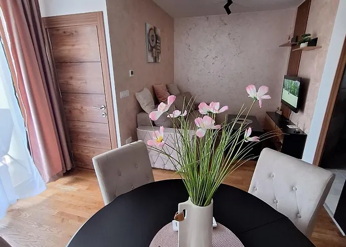 Aura26 兹拉蒂博尔